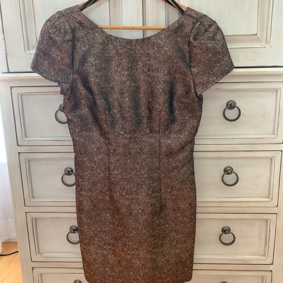 Ladakh Women's Metallic Bronze Short Sleeve Dress - Size 6 - Picture 2 of 5